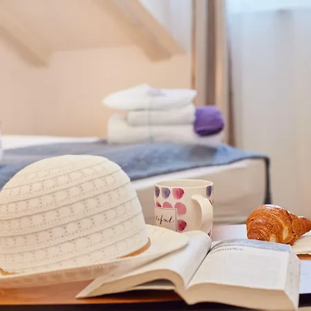 Root Guest house