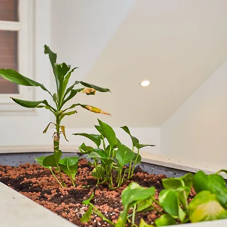 Gasthuis Root Dubrovnik